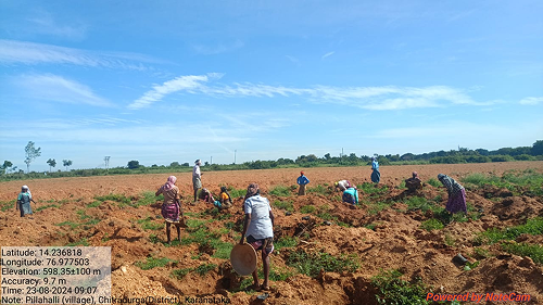 Impact Project Image